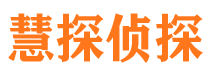 阳原侦探公司